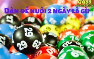 Dàn đề nuôi 2 ngày và cách soi hiệu quả