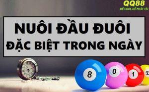 Cách nuôi đầu đuôi đặc biệt trong ngày theo xổ số 3 miền