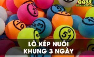 Tìm hiểu về phương pháp nuôi lô kép khung 3 ngày bất bại