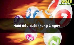 Top 3 cách nuôi đầu đuôi khung 3 ngày hiệu quả