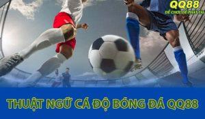 Khám phá các thuật ngữ cá độ bóng đá thường gặp